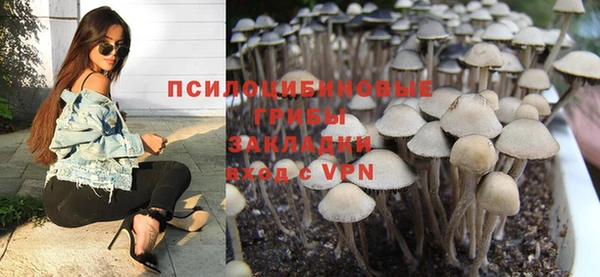 a pvp Магадан