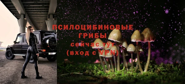 герыч Магас