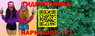 крисы Абакан