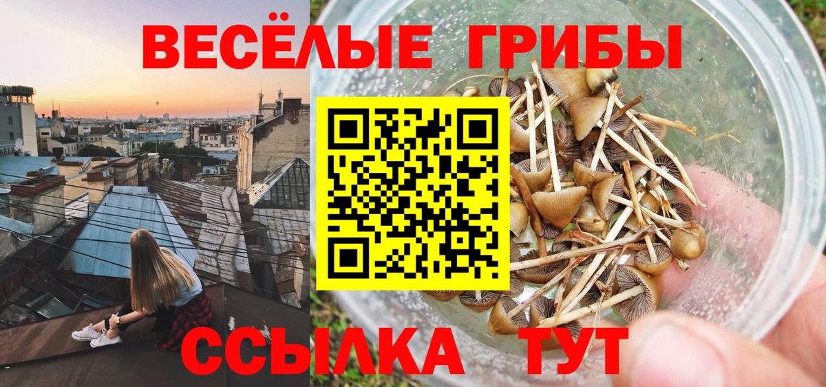 Галлюциногенные грибы прущие грибы Ульяновск